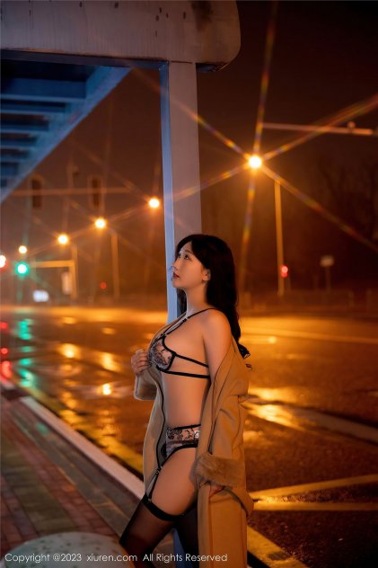 精品亚洲欧美爱在线日本海报