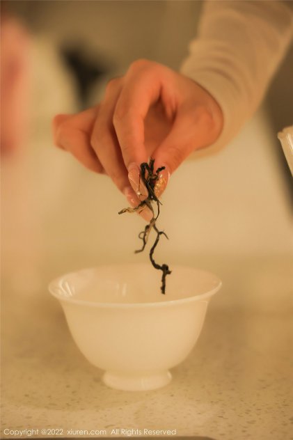 av日韩aⅴ欧美avav天堂海报